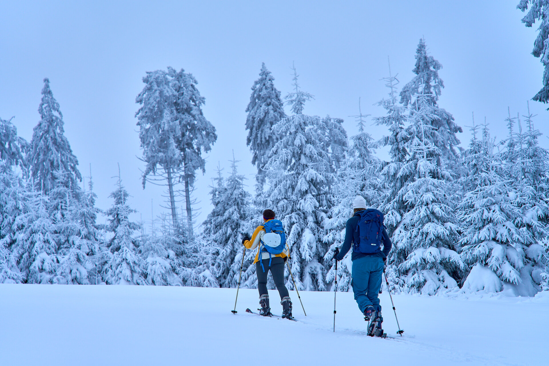 Skitour: Skitourengeher im Winter | © DAV Wuppertal / Stefan Strunk